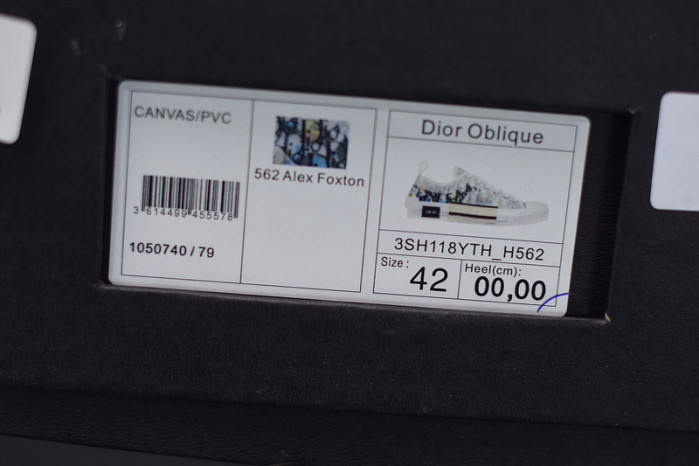 d10r b23 oblique low top sneakers l00n4