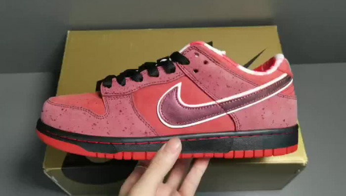 concepts x nk dunk low pro sb“red lobster” 313170-661