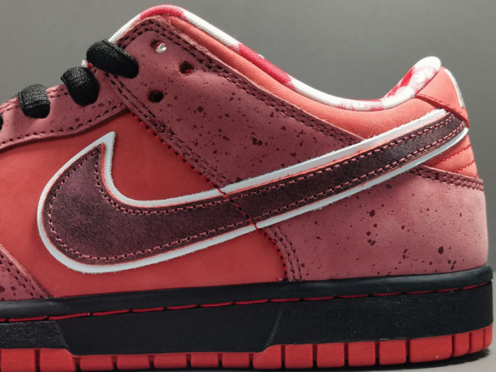 concepts x nk dunk low pro sb“red lobster” 313170-661