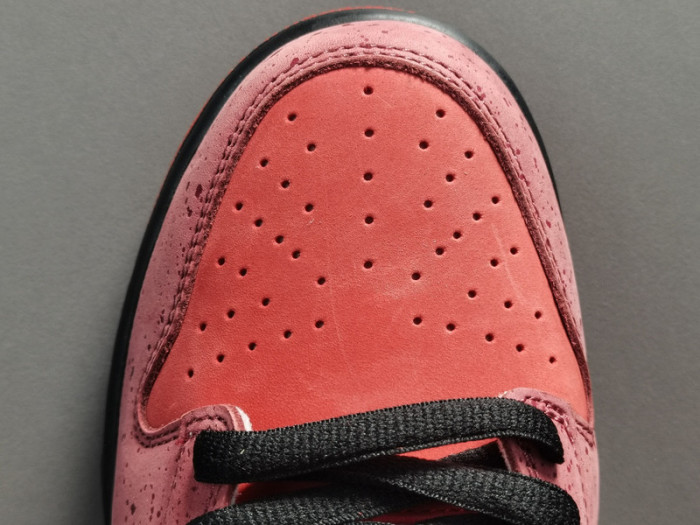 concepts x nk dunk low pro sb“red lobster” 313170-661