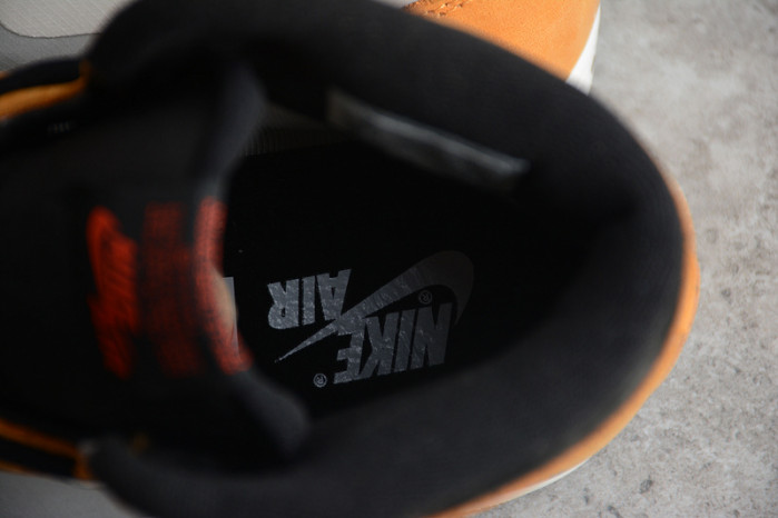 air jordan 1 high element gore-tex light curry db2889-700