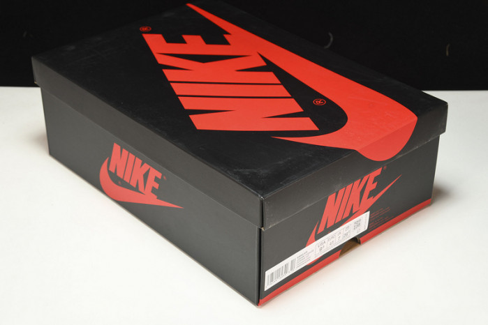 air jordan 1 high og wmns starfish do9369-101