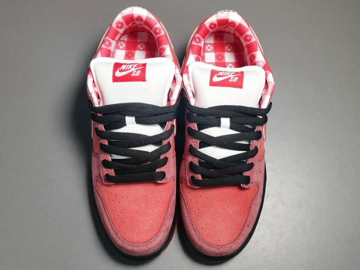 concepts x nk dunk low pro sb“red lobster” 313170-661