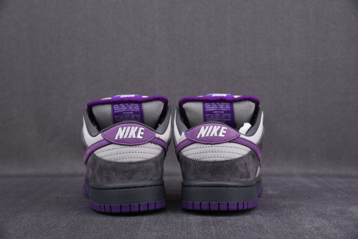 nike dunk sb low purple pigeon 304292-051
