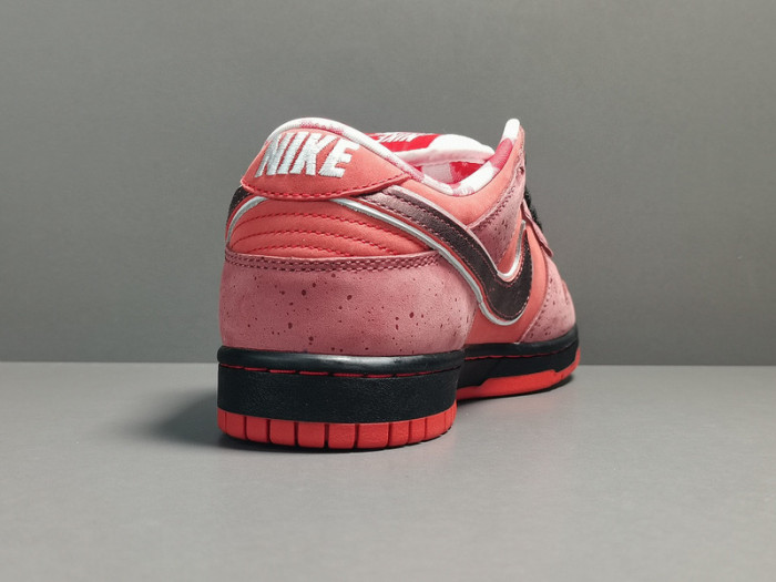 concepts x nk dunk low pro sb“red lobster” 313170-661