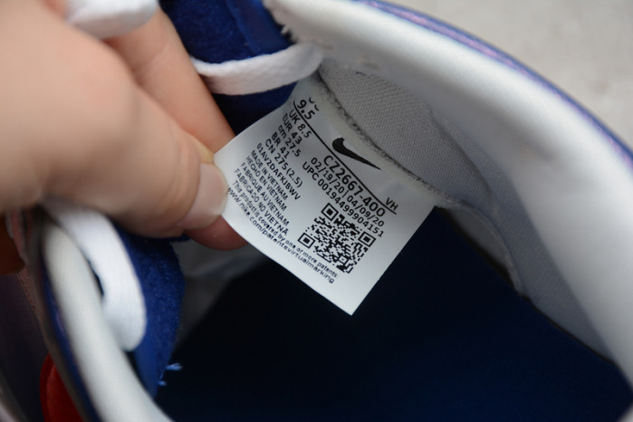 nike dunk low samba (2020) cz2667-400