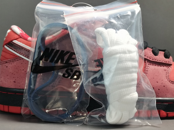 concepts x nk dunk low pro sb“red lobster” 313170-661