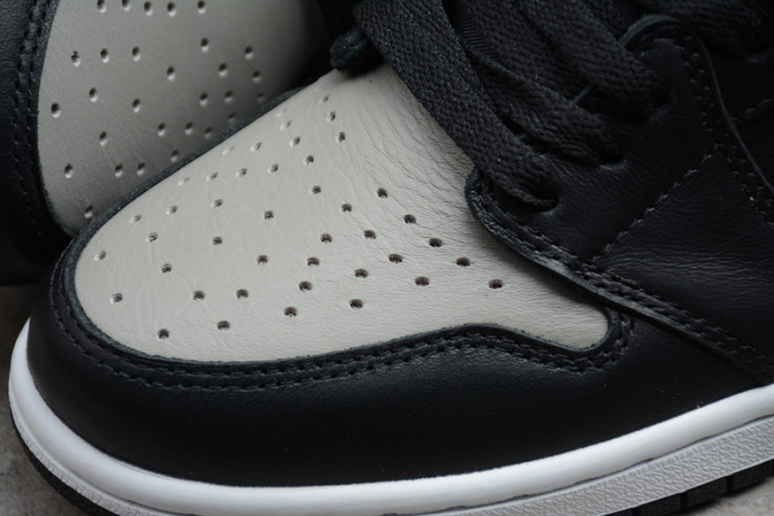 air jordan 1 retro high og “shadow”555088-013