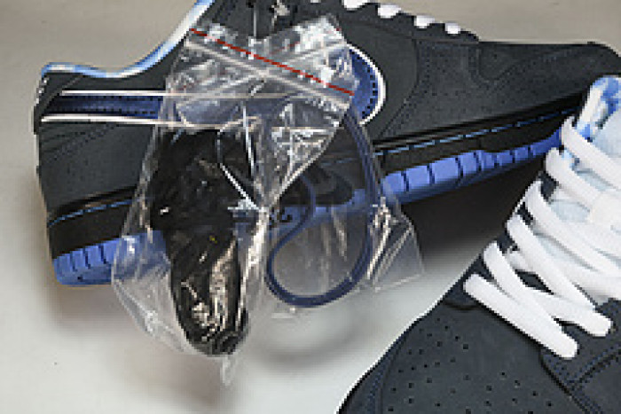 nike dunk sb low blue lobster - 313170-342
